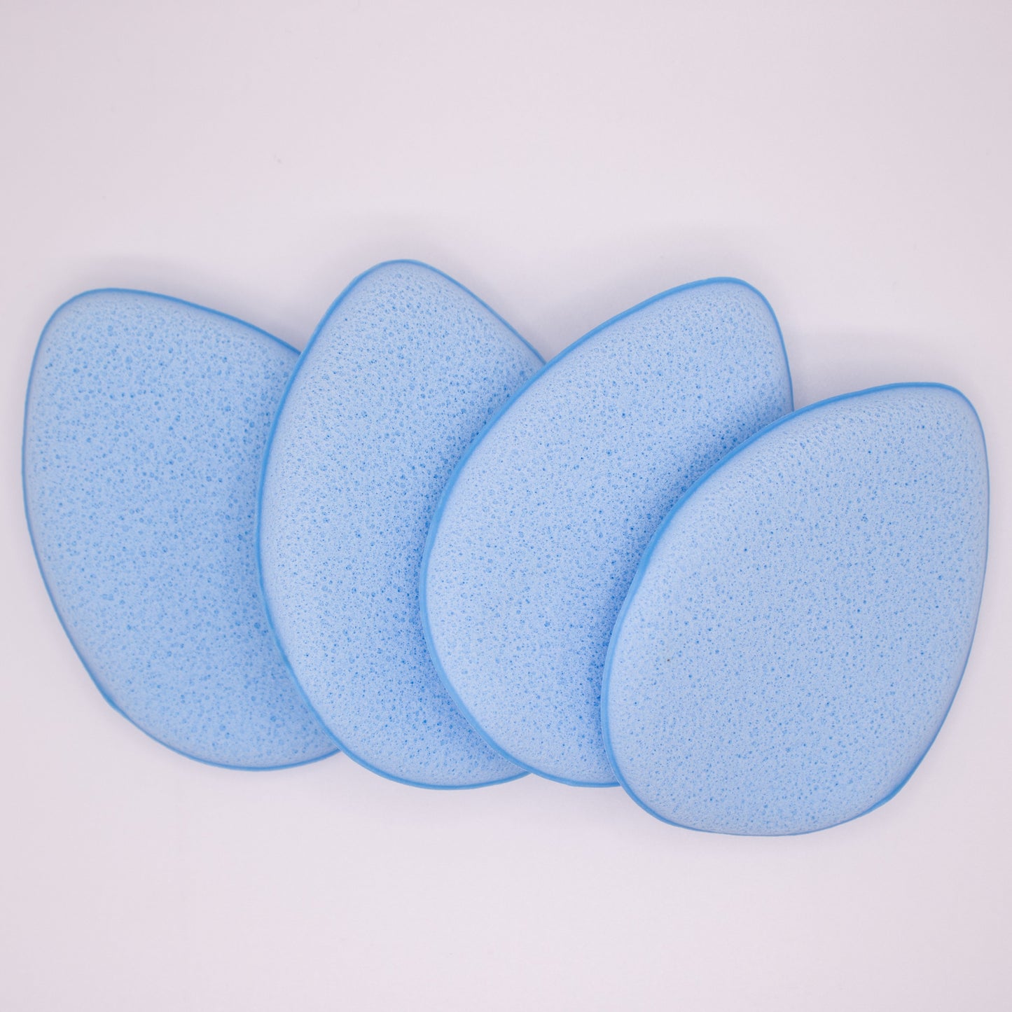 bishop sponges (4pk)