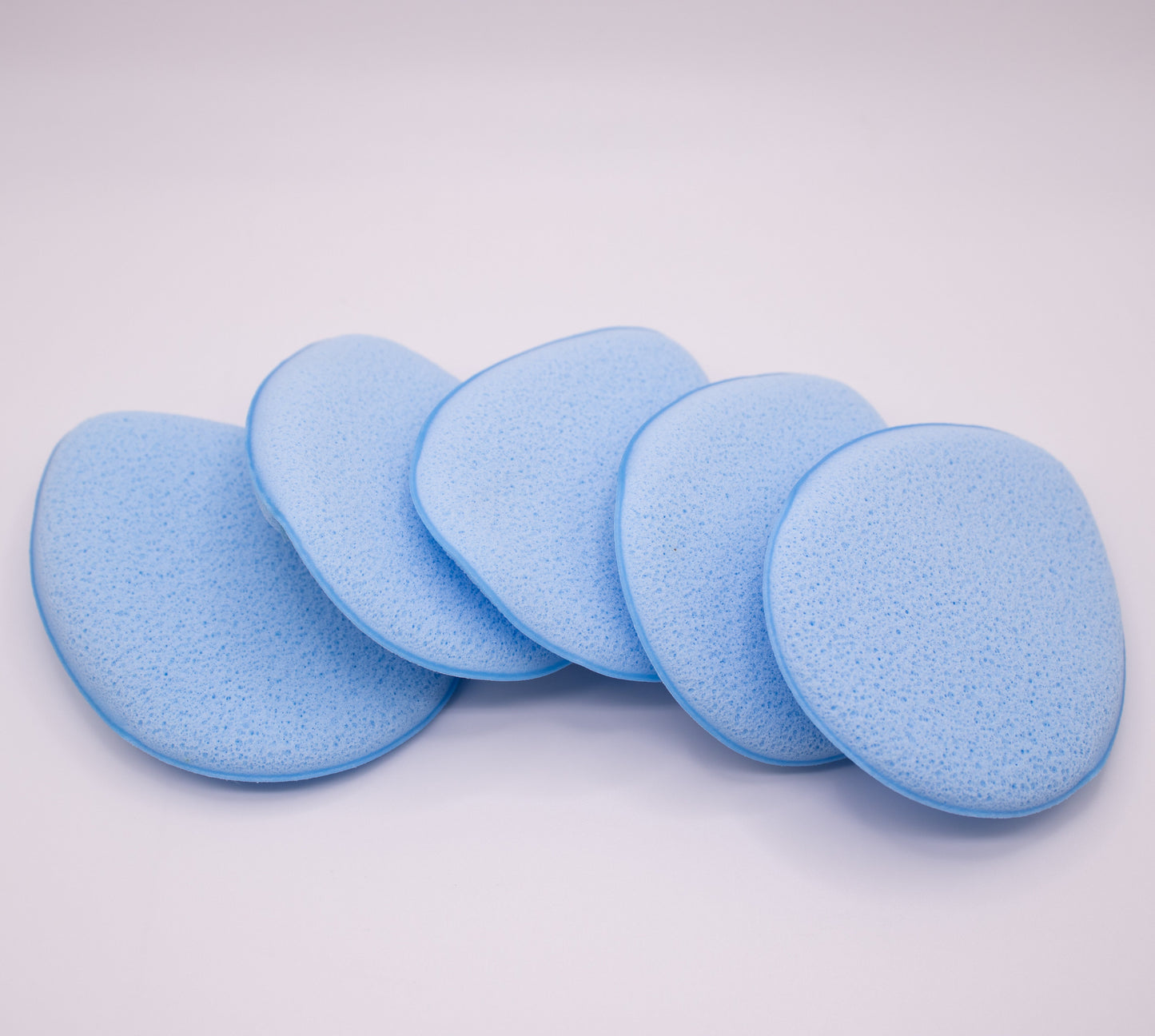 bishop sponges 5 pack