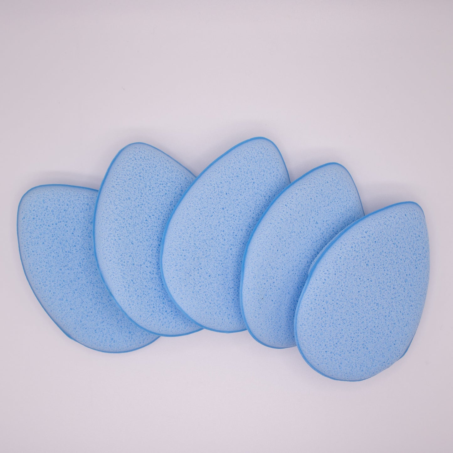 bishop sponges 5 pack