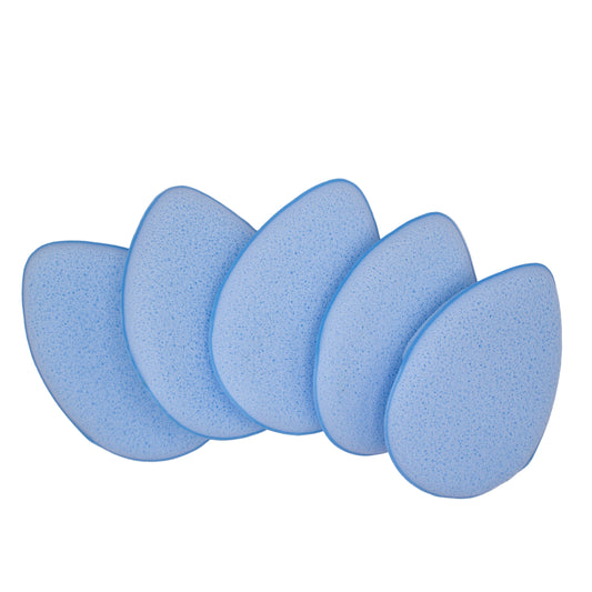 bishop sponges 5 pack