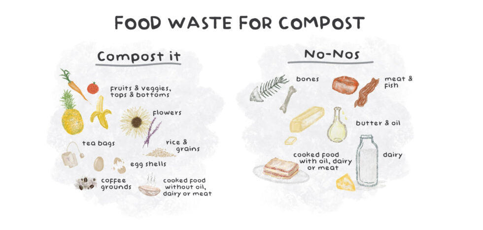 Compost 101 and Peeq’s Compostable Cellulose Sponges