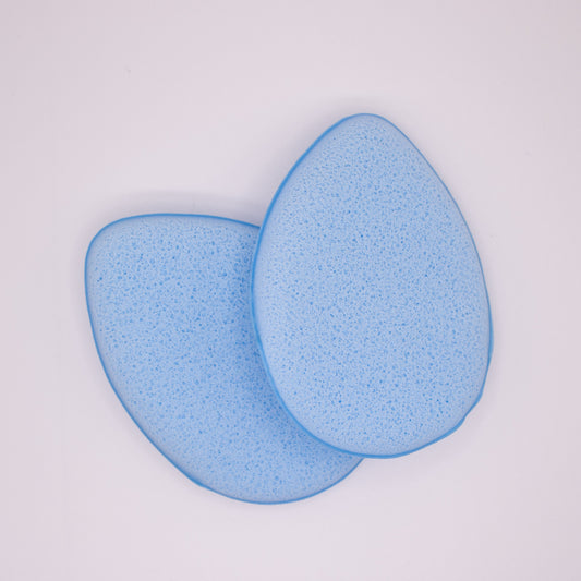 Bishop sponges (2x)