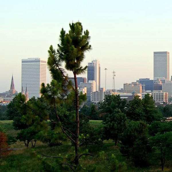 bigstock-Tulsa-Skyline-5348791.jpg
