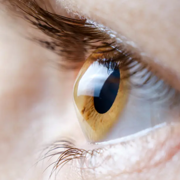 cornea-contact-lens-institute-persons-eye.png