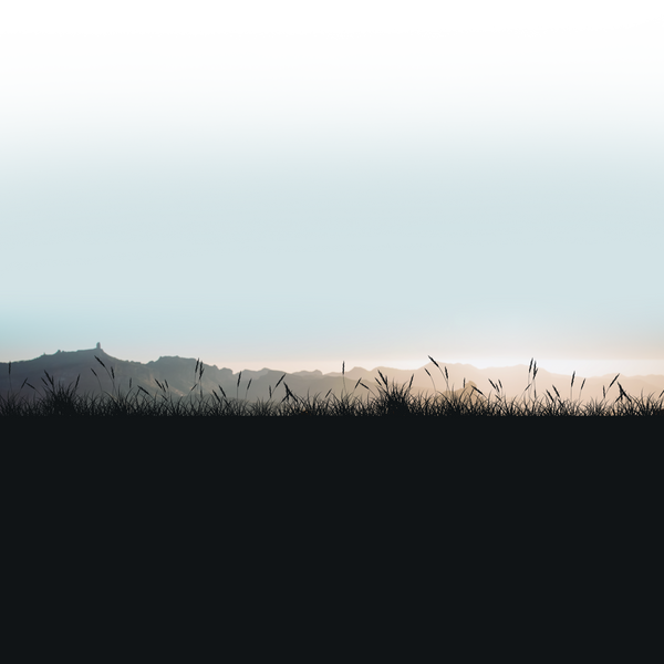 reviews_bg.png
